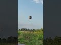 Gliding Above, Rolling Below