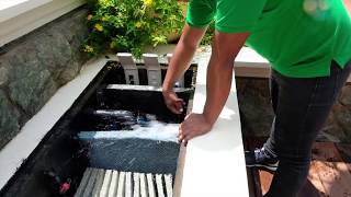 How to Clean Your Koi Pond Filter