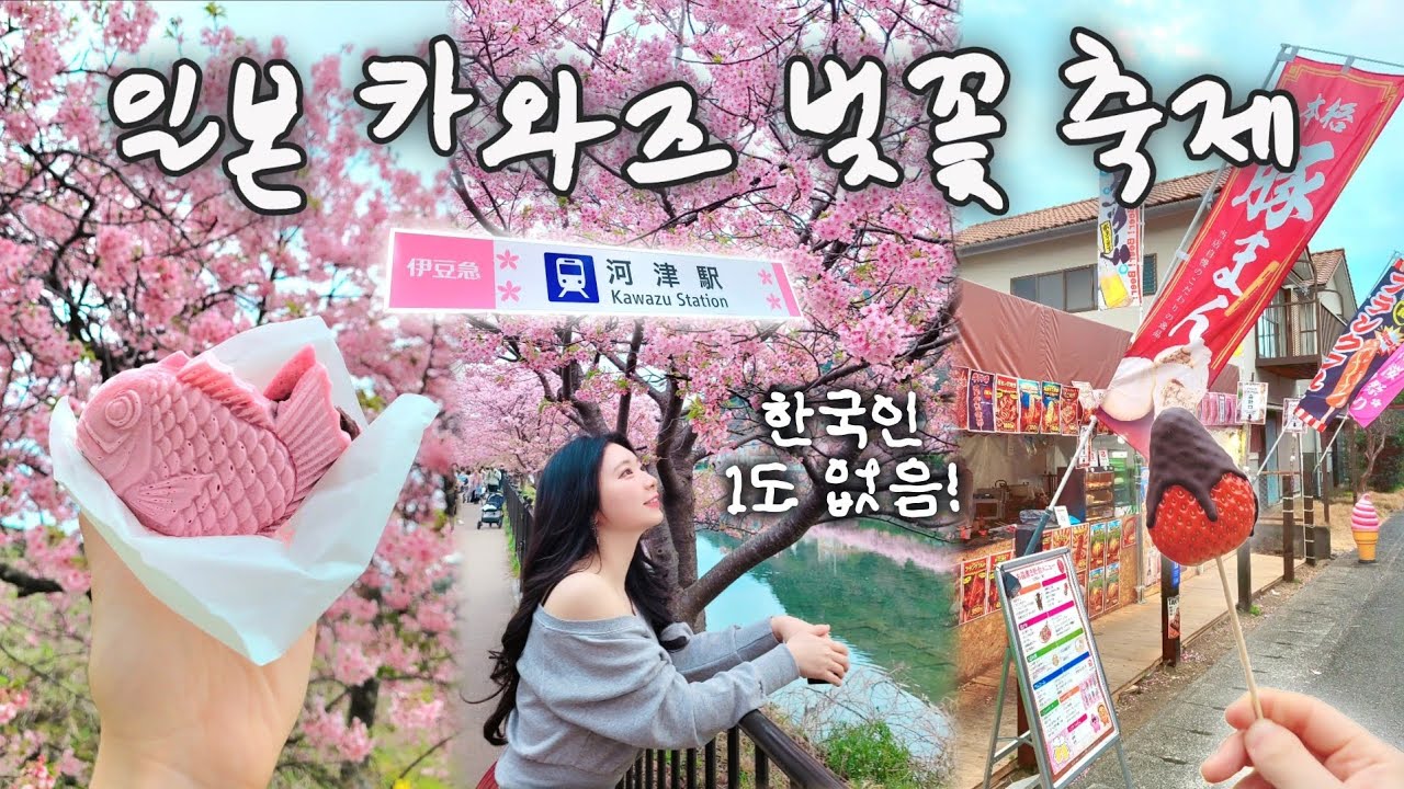 일반 벚꽃보다 일찍피는🌸일본 소도시 벚꽃축제 혼자서 즐기기🩷핑크붕어빵•​현지인 벚꽃명소•​벚꽃 아이스크림•​야타이 먹방•​길거리 야끼소바
