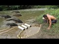 Primitive wild: Dig hole fish traps. Catch a lot of fish