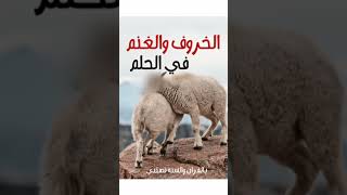 الخروف والغنم في المنام #تفسير_احلام #تفسير_الأحلام #السعودية #احلام #تفسير_حلم #تفسير_الاحلام #حلم