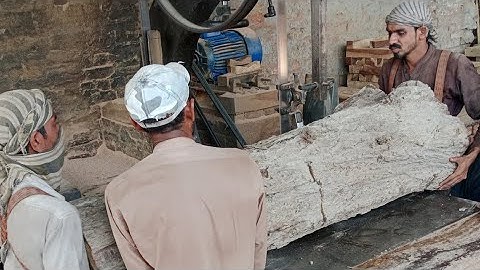 Unexpected incident while sawing the longest old teak log 🪵