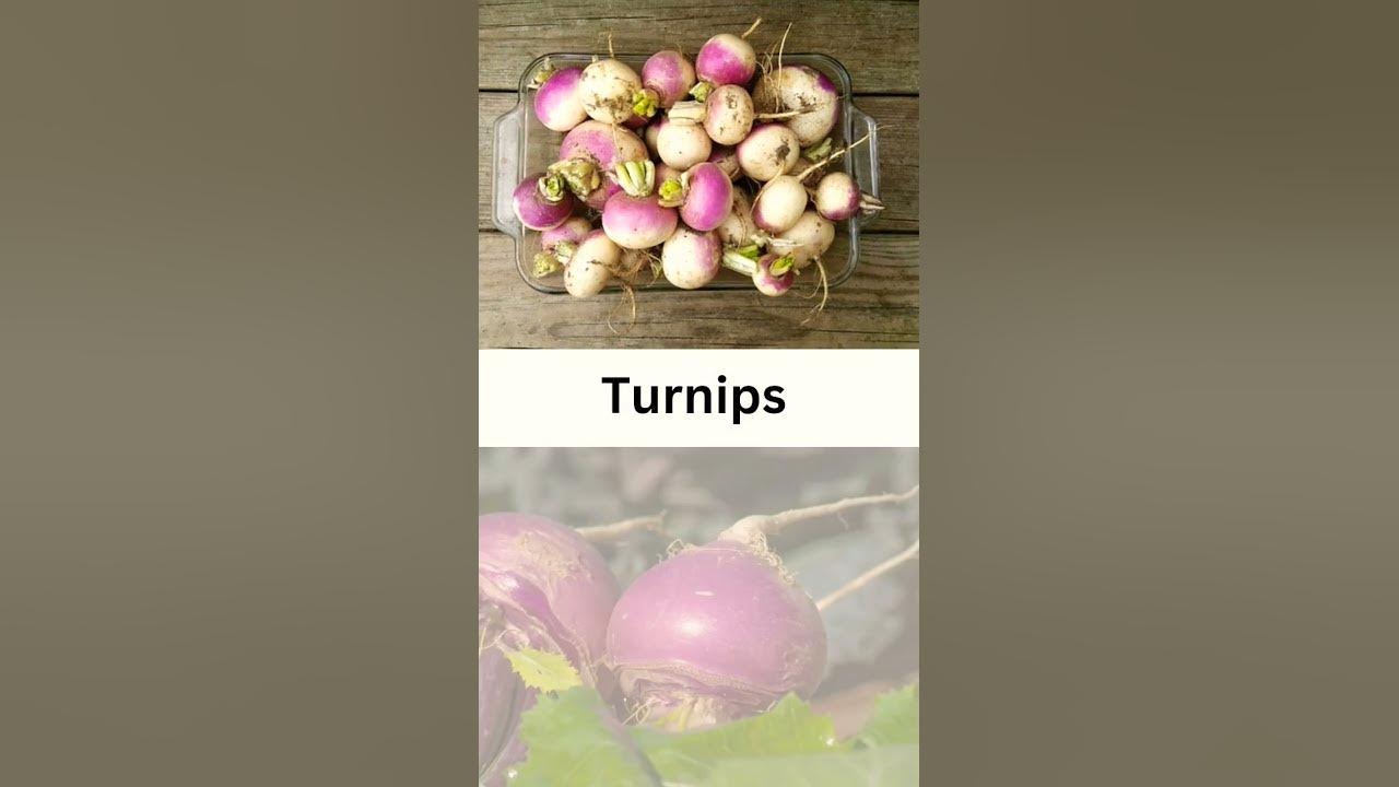 top-10-root-vegetables-shorts-subscribe-like-share-youtube