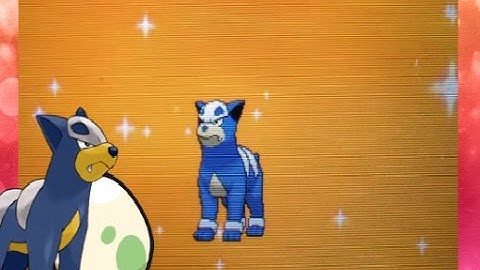 Live Hatch!!! Shiny Houndour After 277 Eggs!! Via Masuda Method - Pokemon Y