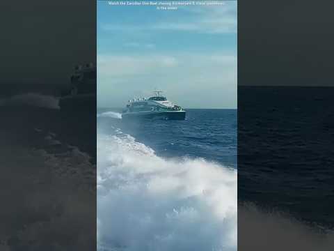 Watch The Zanzibar One Boat Chasing Kilimanjaro 8 These Speedboats In The Ocean Zanzibartrip