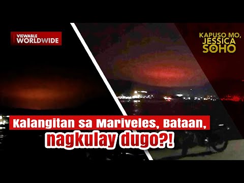 Video: Purple cobweb - isang kabute na may kakaibang kulay