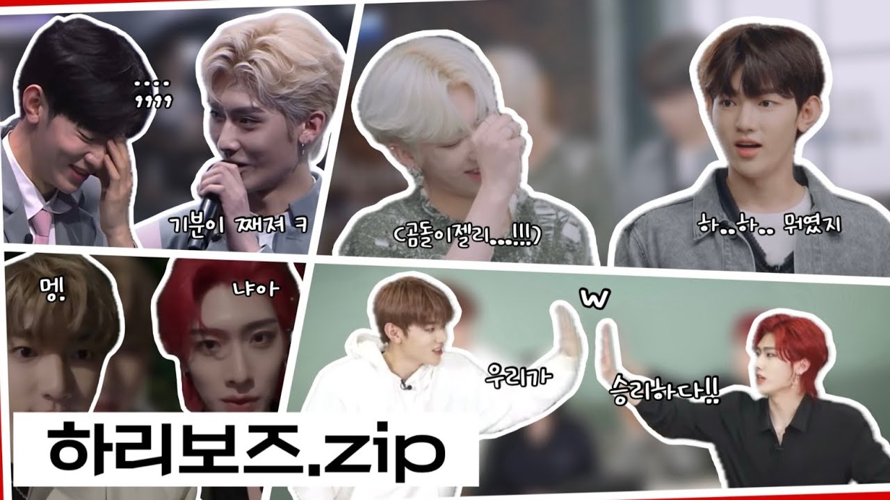 [ZB1] 장하오X리키ㅣ중국에서 보낸 치명 멍냥이들 매력에 빠져보시겠어요? 하리보즈 케미 모음