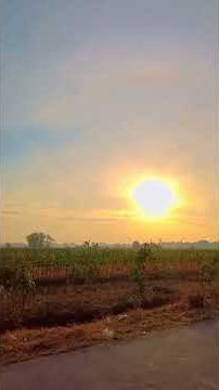 morning view, sunrise, ricefields ✨ | watermelon sugar story wa