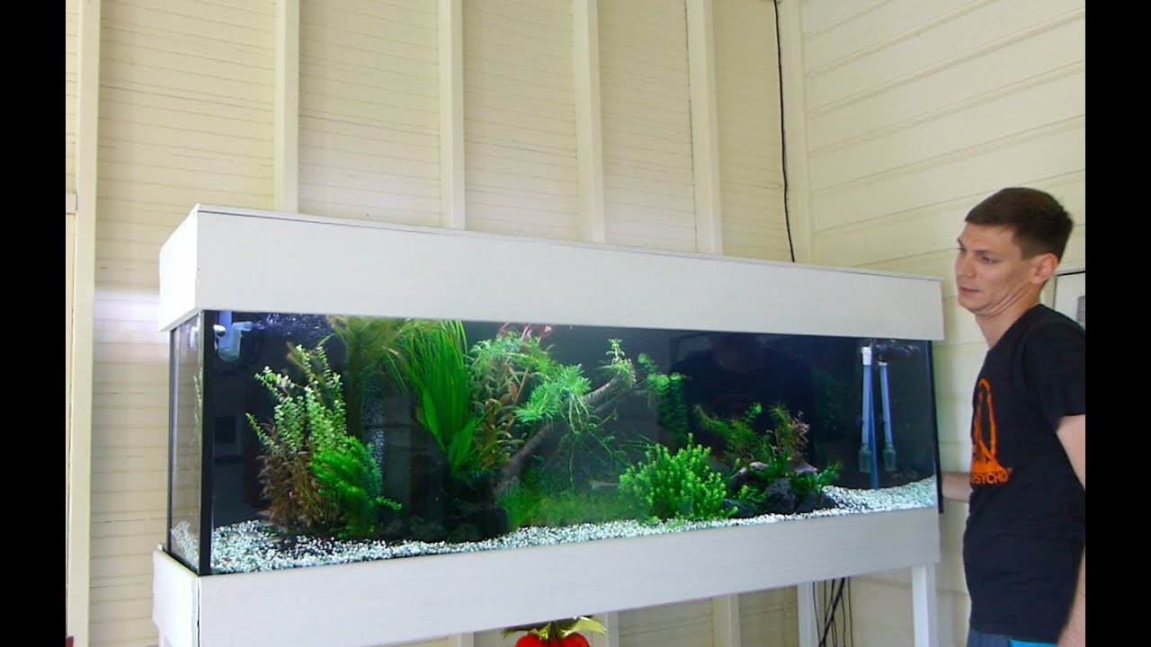 How to clean your canister filter YouTube