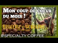 Mon caf du mois  le coffee orang utan project de la brulerie des gobelins