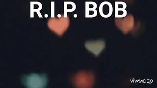 Photograph – Ed Sheeran A Street Cat Named BOB​