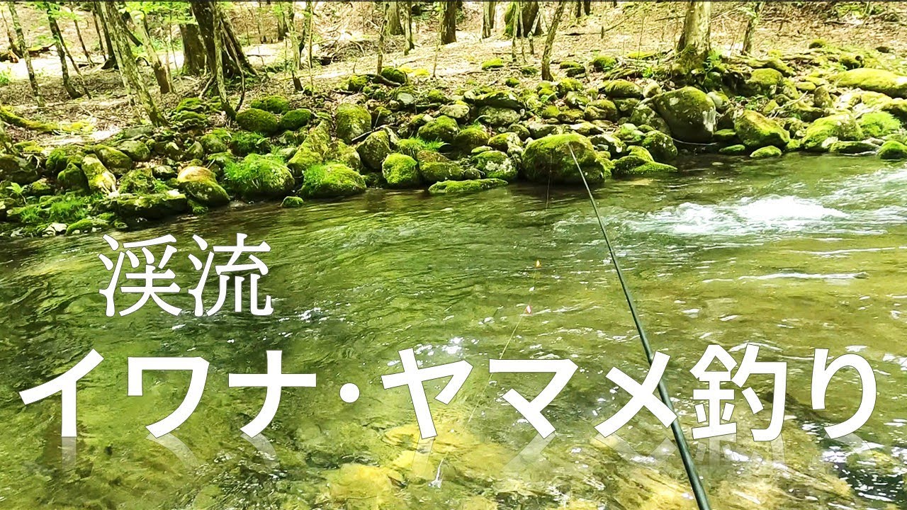 渓流イワナ･ヤマメ釣り　【エサ釣り】