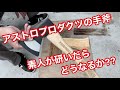 アストロプロダクツの手斧　素人が研いだらどうなるか⁇