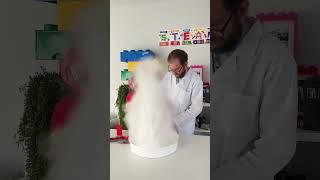 What’s inside a fire extinguisher? 🔥