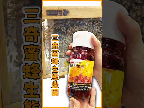 【桃園觀音】三奇蜜蜂生態農園｜一場融合蜜香、花韻與自然農事的甜蜜體驗