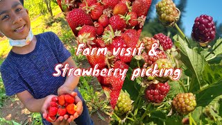 🍓Strawberry🍓picking and farm visit @ Smith berry barn Oregon | u-pick berries | travel vlogs