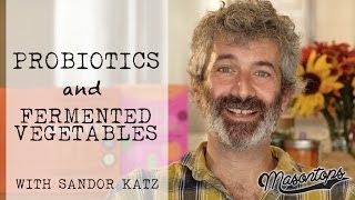 Sandor Katz Interview - Fermented Foods & Probiotic Power