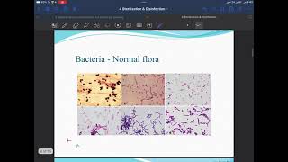 Micro - lecture 4 part 1 - Doctor Hazem