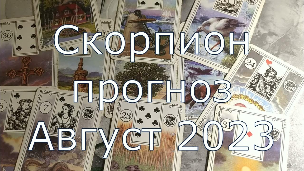 Таро прогноз скорпион август 2025. Сентябрь весы. сентябрьские весы. таро котиков императрица.