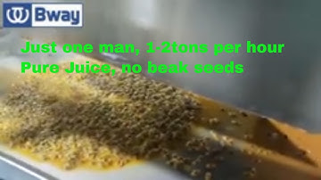 Automatical Passionfruit juice pulp with seeds line 1-2ton per hour no break seeds