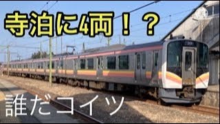 【越後南線にE129系B編成!!】通常有り得ない1日1本限定E129系の寺泊行に乗ってきた