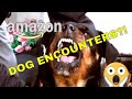 A Day in the life of an Amazon Driver Encounter with a DOG!