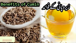 Benefits of cumin water..زیرہ پانی کے فوائد/فائدے..Jeera Pani k fwaid/faidy (fayde)