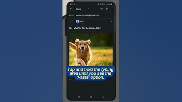 Pasting Images into Messages, Emails, or Documents