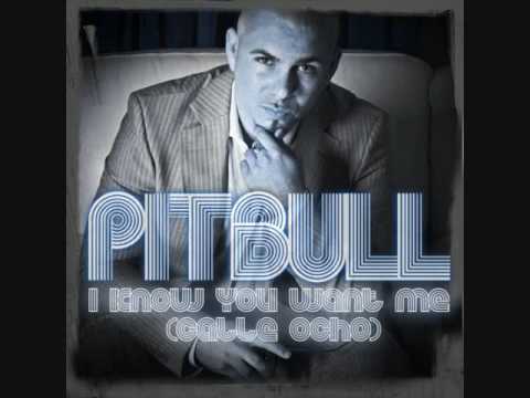 Pitbull (+) I Know You Want Me (Calle Ocho) (Extended Mix) - Pitbull