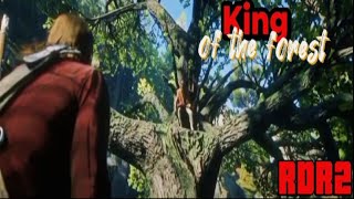 RDR2 King of the forest