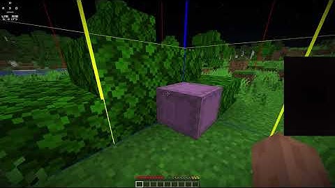 Working donutSMP Dupe??!