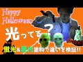 【DIY】自宅で楽しむハロウィン　蓄光スプレーで簡単リメイク～この瞬間を楽しむために～　シンロイヒ