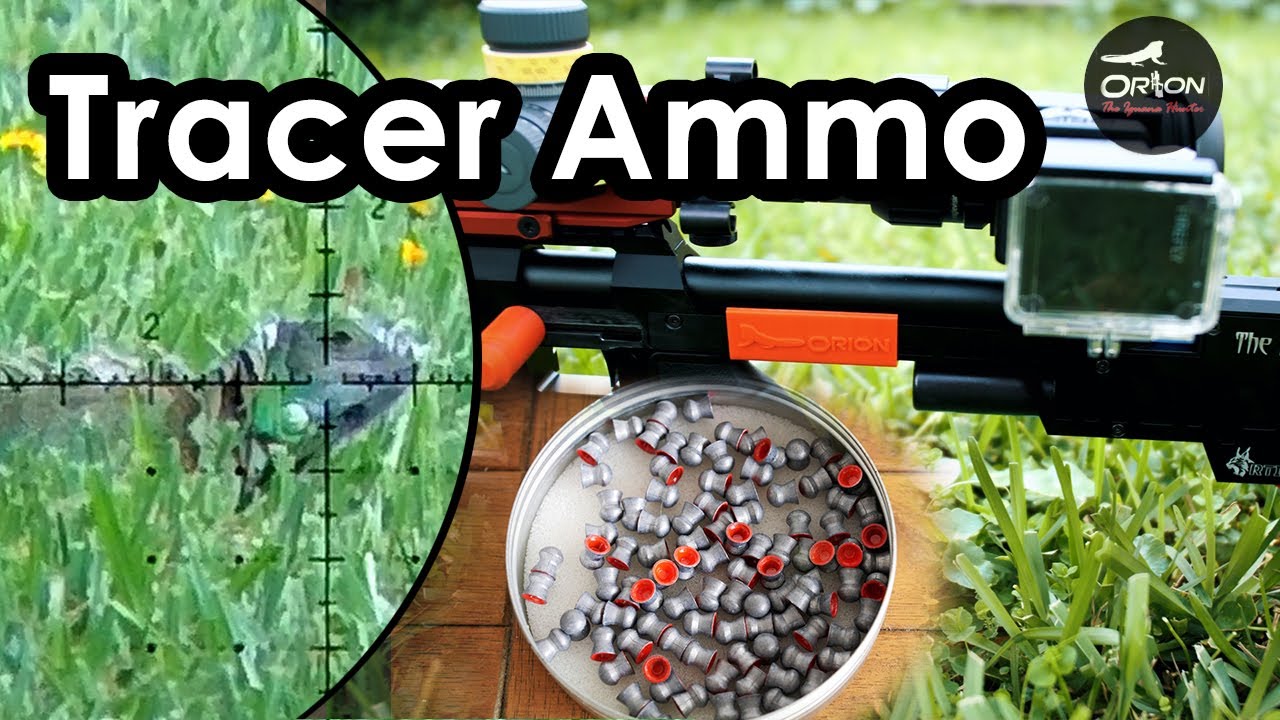 Using my Tracer Pellets Hunting from Home Pt.4 Orion the Iguana