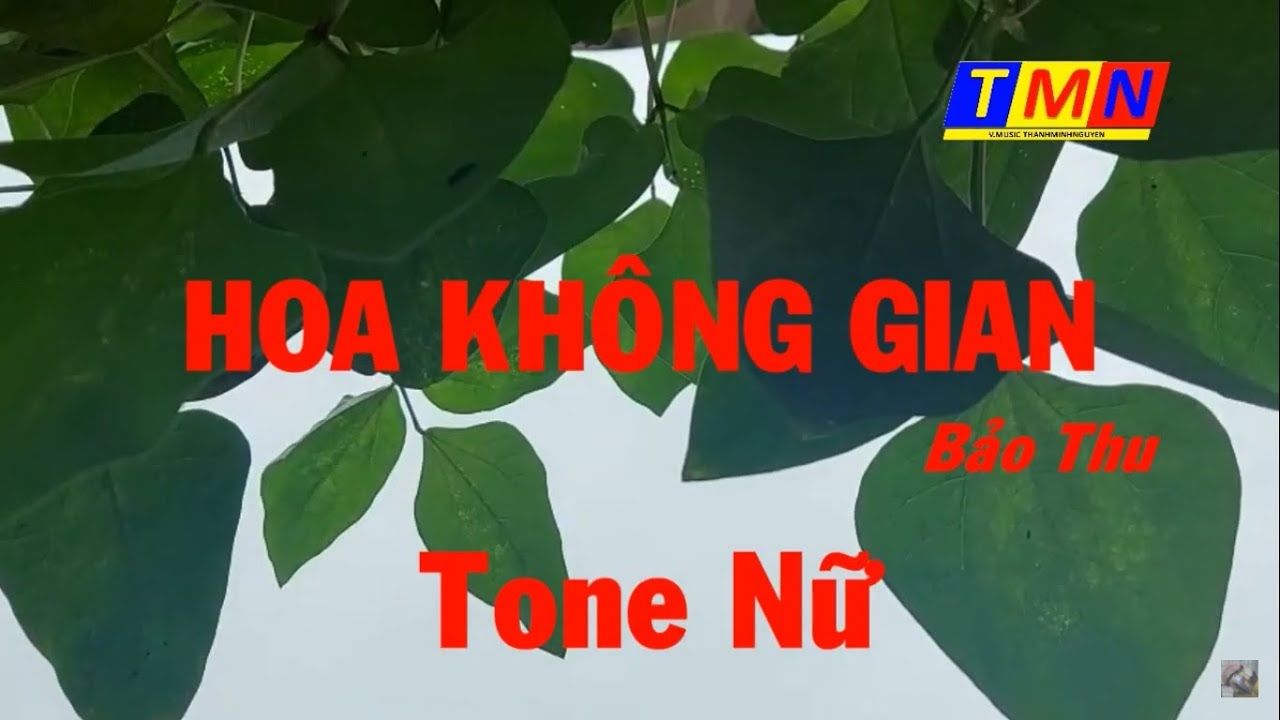 [KARAOKE] Hoa không gian (Bảo Thu Pre.75) – Tone Nữ (Em) – 