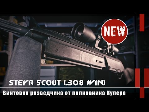 Video: Merita steyr scout?