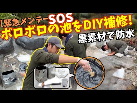 Repairing a Leaking Pond? Aiming for a Pond Where Koi Swim Gracefully, but Getting Sidetracked lol