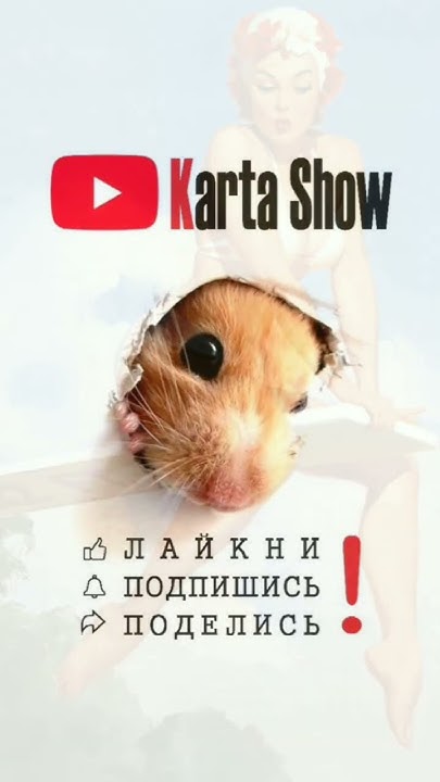Вячеслав Карташов. Для мужчины /#карташов #стишата #ирония #shorts ...