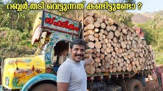 Rubber Tree cutting and Loading in Tata SE lorry Kerala | Rubber Tree market in Kerala