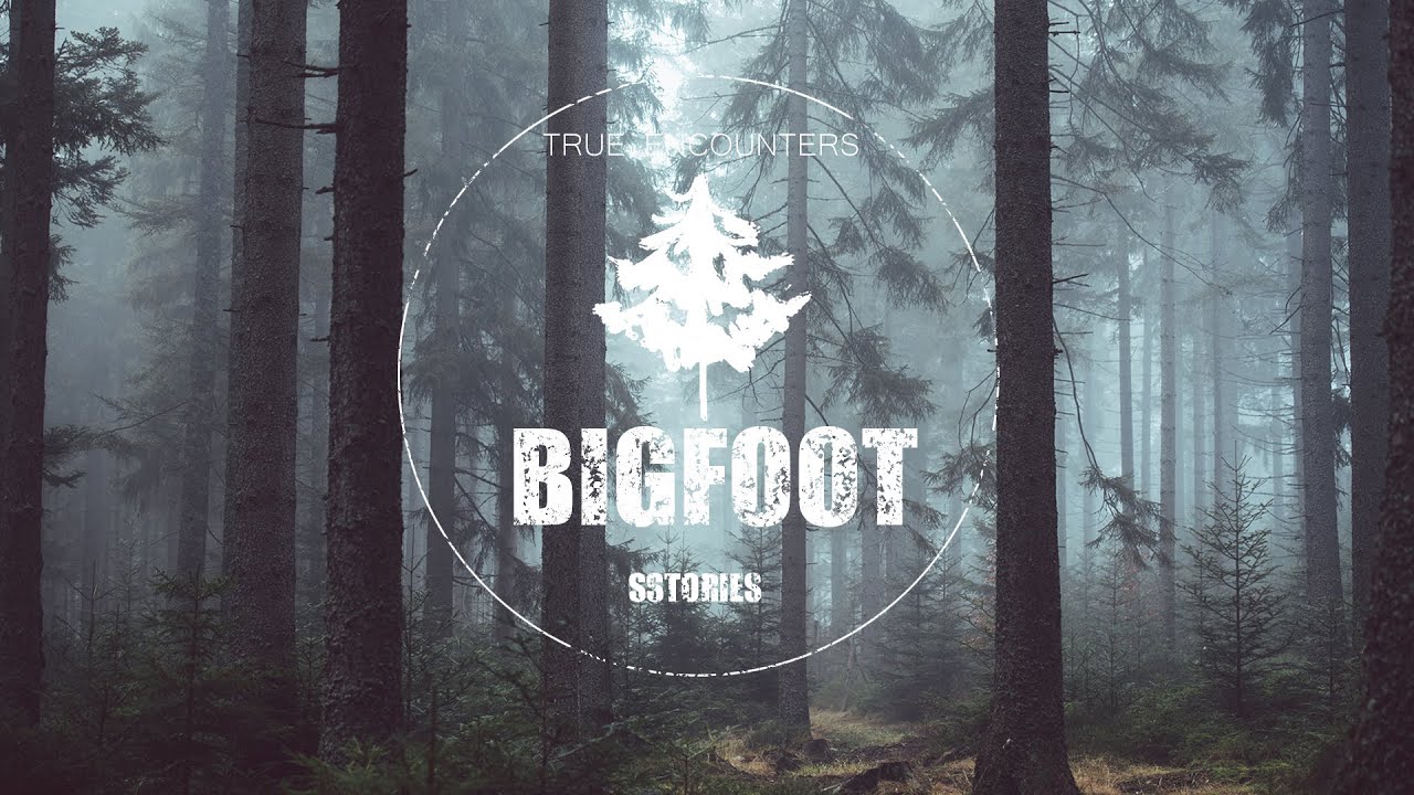 BIGFOOT Spotted Through Night Vision Scope With Square Pupils