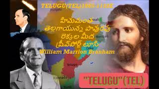 TELUGUTEL1965 1128E  హిమమంత-తెల్లగాయున్న పావురపు రెక్కల మీదష్రీవ్‍పోర్ట్ లూసి