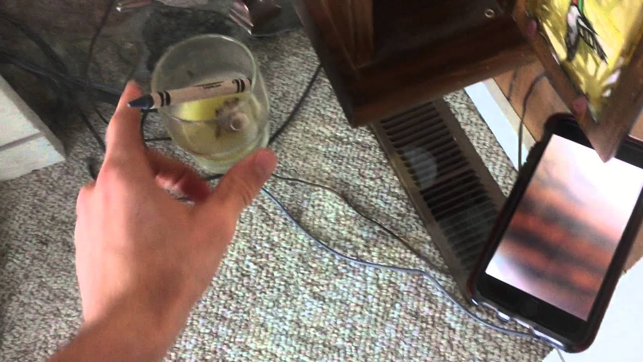 UPDATE: SUPER DANK SPY SYSTEM w/ Pop-Tarts™