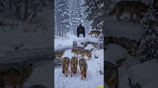 Silverback Gorilla vs Wolf Pack in Snowy Forest – Epic Wildlife Battle! 🐺❄️ #GorillaVsWolves