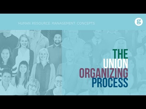 Video: How To Create A Primary Trade Union Organization