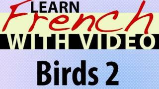 Learn French with Videos - Birds 2
