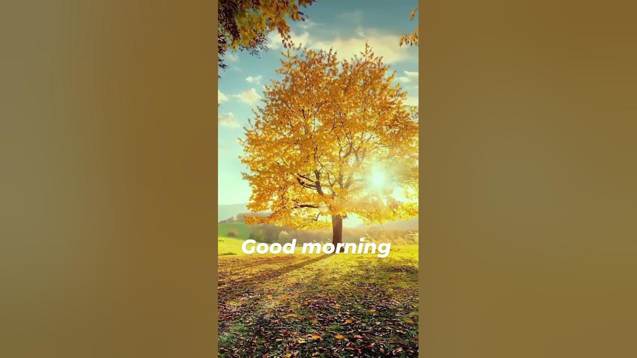 good morning alarm ringtone @ m Kumar & ringtone