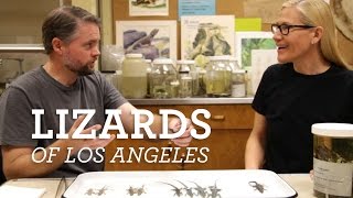 The Curiosity Show Episode 3 Lizards of Los Angeles: the native and the new with Dr. Greg Pauly