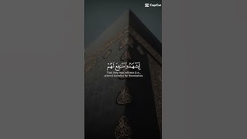 سورة الحج الشيخ ماهر المعيقلي #قران_كريم #المصحف #سورة_الحج #راحة_نفسية