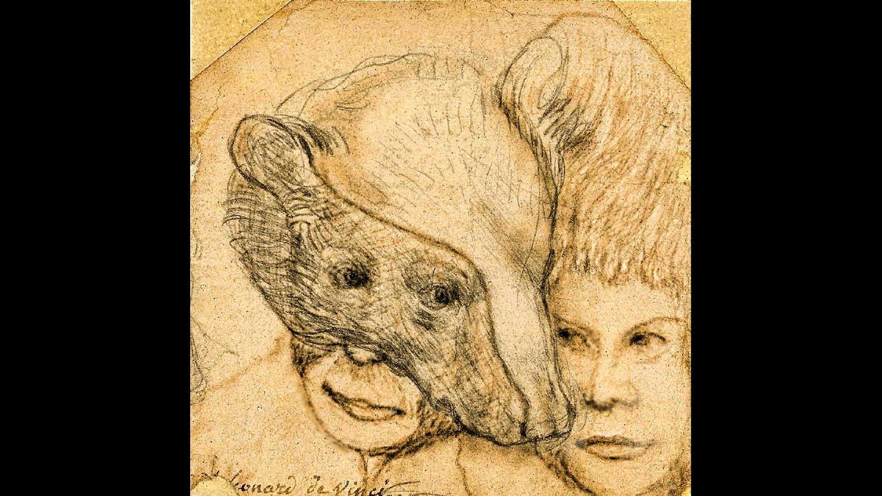 Голова медведя да винчи. Голова медведя леонардо да винчи рисунок. Леонардо да винчи наброски медведя. Леонардо да винчи. Медведь леонардо.