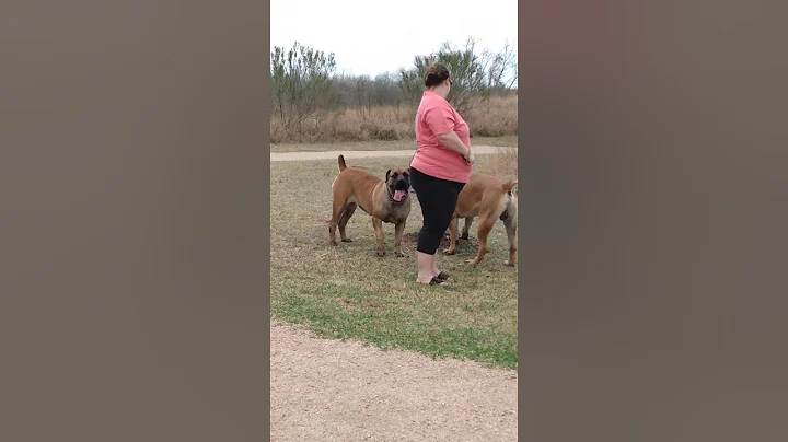 Breaking News Linda, Duke