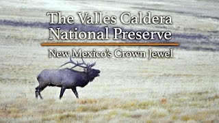 The Valles Caldera National Preserve: New Mexico's Crown Jewel